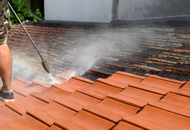 Why Choose Our Certified Pressure Washing Experts for Your Project Needs in Laingsburg, MI?