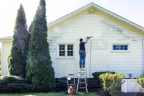 Best Commercial Building Pressure Washing  in Laingsburg, MI