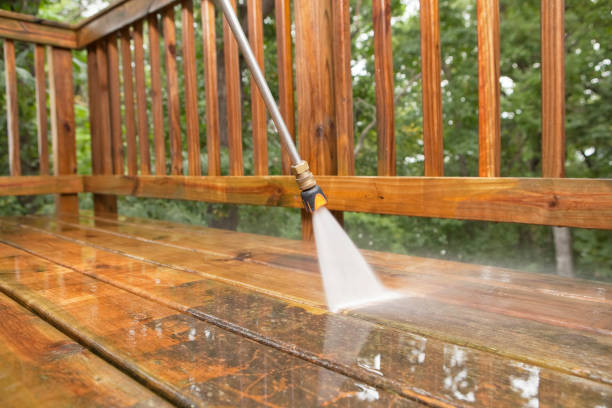 Best Pressure Washing Estimates  in Laingsburg, MI