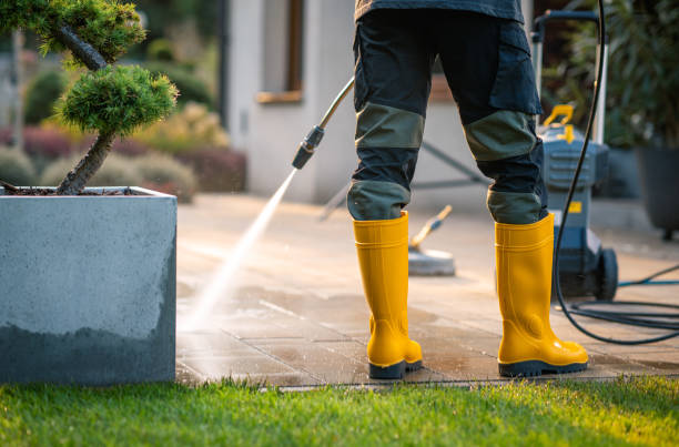 Best Exterior Home Cleaning  in Laingsburg, MI